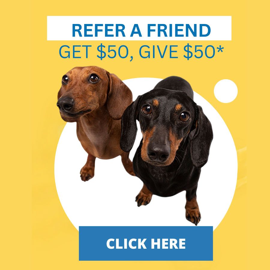 Refer a friend. Get $50. Give $50